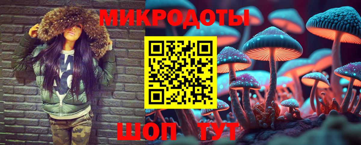 Галлюциногенные грибы Cubensis  Вход с VPN  Алейск 
