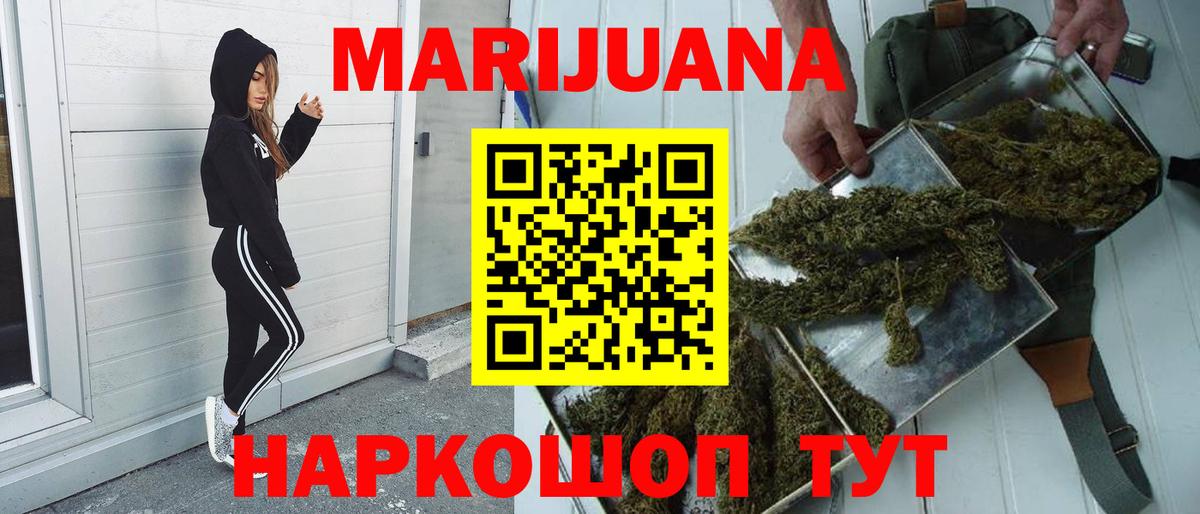 Конопля планчик Алейск